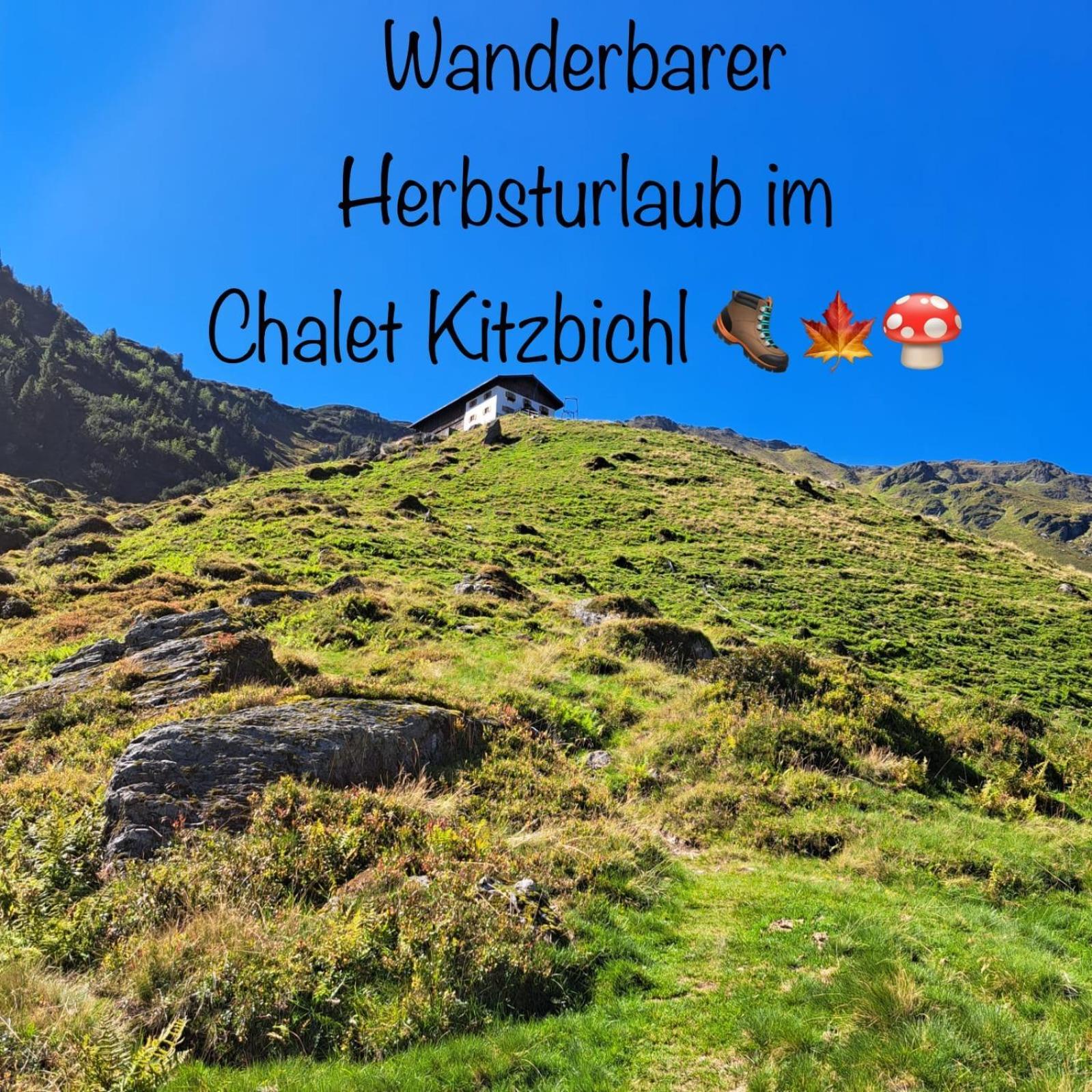 Chalet Kitzbichl By Alpin Charme Apartments Reith bei Kitzbuehel Bagian luar foto